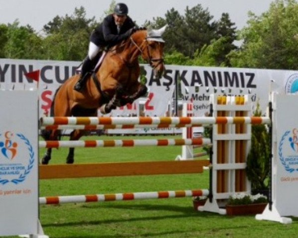 jumper Unicum's Jumpy (KWPN (Royal Dutch Sporthorse), 2001, from Jumpy des Fontaines)