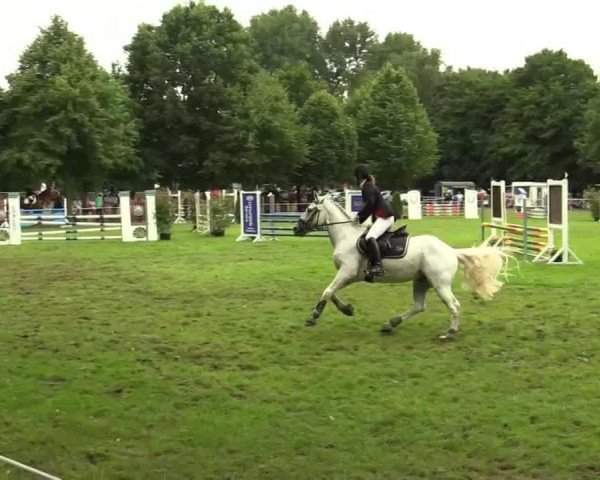 dressage horse Liliputs Geronimo (unknown, 2000)