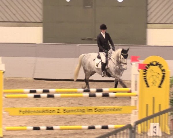 Reitturnier Luhmühlen 2021