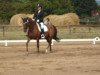 dressage horse Rigoletta (Mecklenburg, 2005, from Royal Hit)