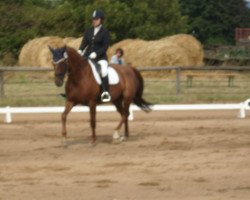 dressage horse Rigoletta (Mecklenburg, 2005, from Royal Hit)