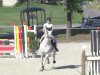 jumper Kildalton Jacque (Irish Sport Horse, 1995, from Furisto)