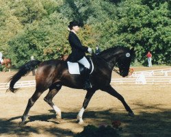 horse Joep (KWPN (Royal Dutch Sporthorse), 1991, from Bentley)