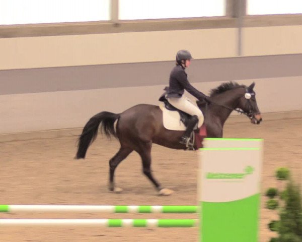 Reitturnier Luhmühlen 2021