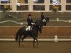 dressage horse Pico 147 (Friese, 1997)