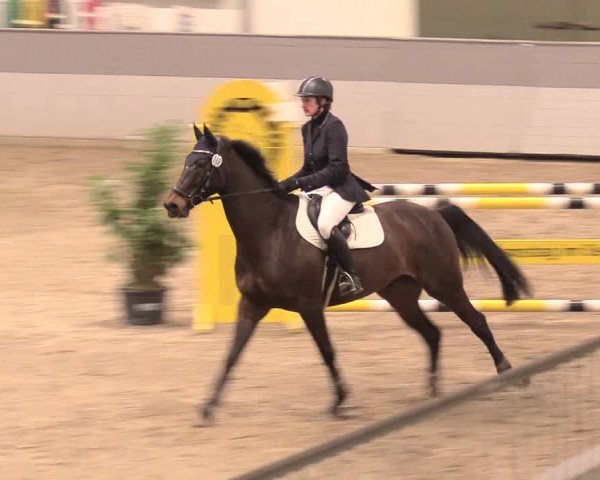 Reitturnier Luhmühlen 2021