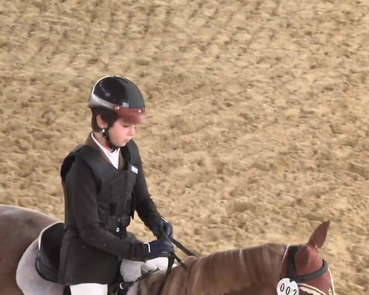 dressage horse Aemy 2 (German Riding Pony, 1995, from Home 'T' Ranch Yves Royalist)