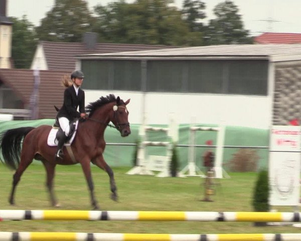 Reitturnier Altmittweida 2021