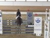 dressage horse Ninett F (German Riding Pony, 1999, from Pharao N)