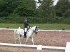 dressage horse Pieter Pan (German Riding Pony, 1994, from Magareteau Beau Nash GH)