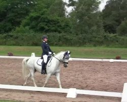 dressage horse Pieter Pan (German Riding Pony, 1994, from Magareteau Beau Nash GH)