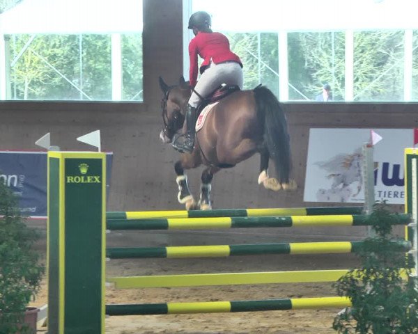 Reitturnier Gut Winkelacker/Obb. 2021