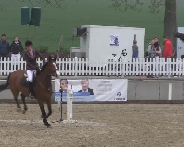 jumper Celine J (Swedish Warmblood, 2003, from Carnaby GL)