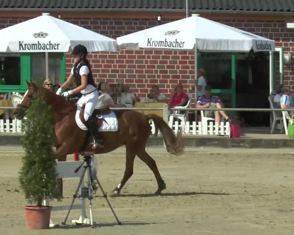 jumper Shirina 4 (German Riding Pony, 1998, from Santo)