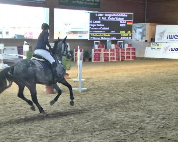 Reitturnier Gut Winkelacker/Obb. 2021