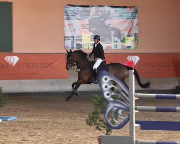Reitturnier Gut Winkelacker/Obb. 2021