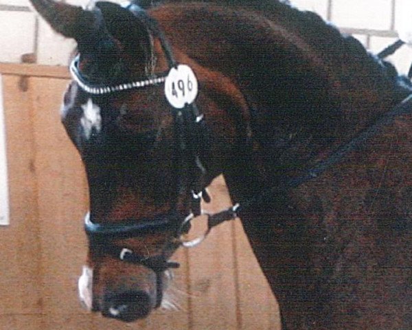 broodmare Gina (Rhinelander, 1997, from Gordon I)