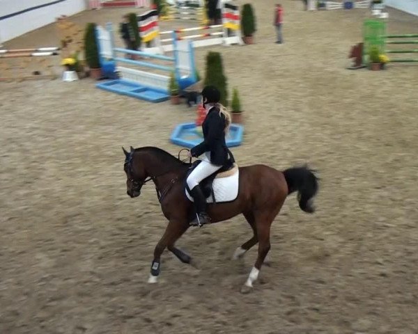 jumper Vegas (German Riding Pony, 1998, from Viscount)