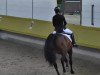 dressage horse Fendra Camina (Westphalian, 1997, from Florestan I)