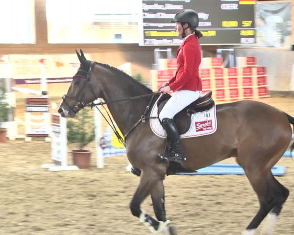 Reitturnier Gut Winkelacker/Obb. 2021