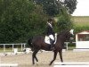 dressage horse Floriano-Deux (Westphalian, 1999, from Florestan I)