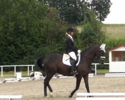 dressage horse Floriano-Deux (Westphalian, 1999, from Florestan I)