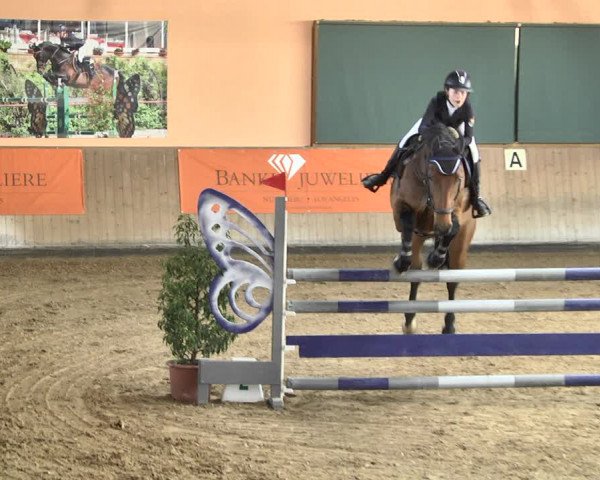 Reitturnier Gut Winkelacker/Obb. 2021
