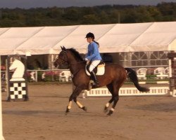 jumper Leandra H 3 (Hungarian Warmblood, 1992, from Lagaro)