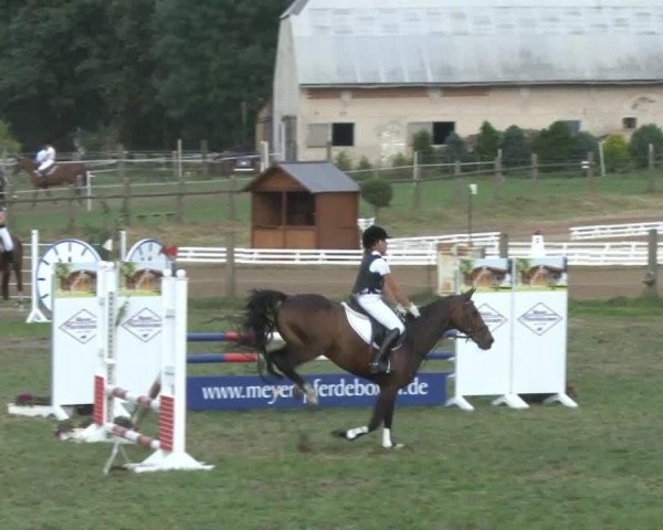jumper Valentino's Voice (German Riding Pony, 1997, from Valerio)