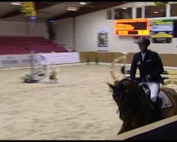 dressage horse Online (Oldenburg, 1993, from Oglio xx)