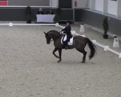 dressage horse De Janeau (Oldenburg, 1993, from Donnerschlag)