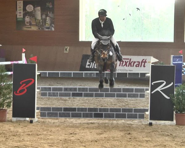 Reitturnier Gut Winkelacker/Obb. 2021
