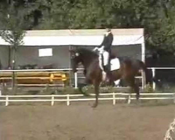 horse Chloe 7 (Oldenburg,  , from Cupric xx)