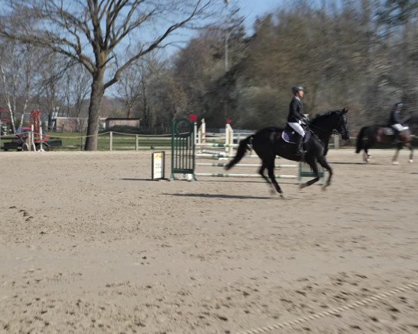 Reitturnier Scharnebeck 2021