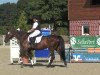 dressage horse Calla 11 (Hanoverian, 1994, from Caletto I)