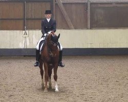 dressage horse Westino 4 (Hanoverian, 1999, from Weltmeyer)