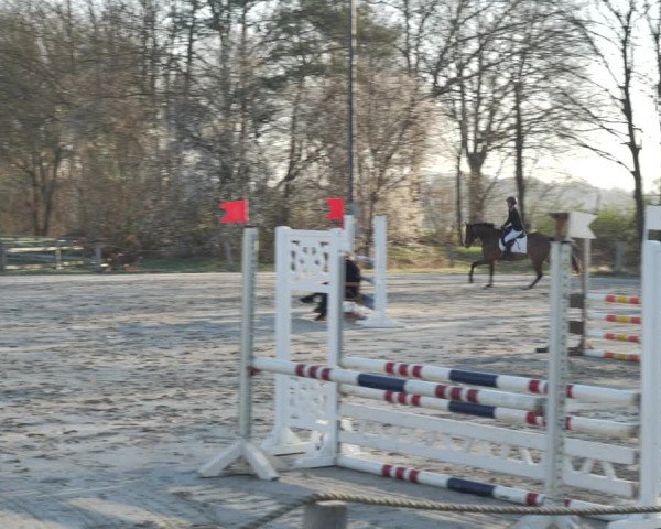 Reitturnier Scharnebeck 2021