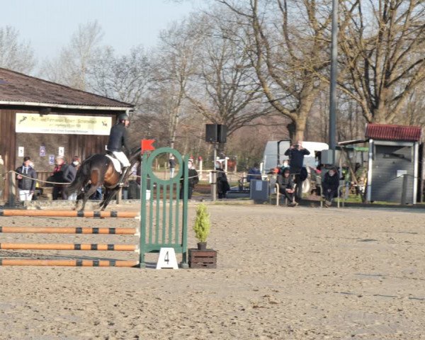 Reitturnier Scharnebeck 2021