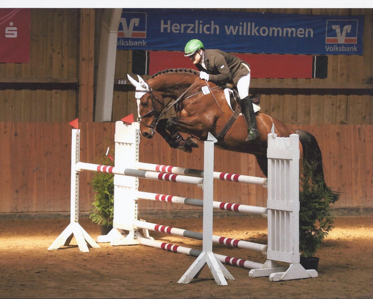 jumper Quickfire 3 (Holsteiner, 2008, from Quidam de Revel)