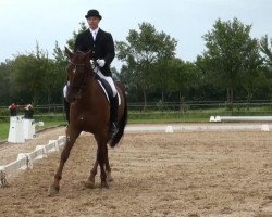 dressage horse Fernando N. (Hanoverian, 1999, from Fabriano)