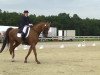 dressage horse Eskortas (Hanoverian, 1997, from Enanco S)