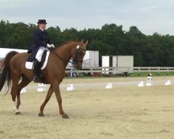 dressage horse Eskortas (Hanoverian, 1997, from Enanco S)