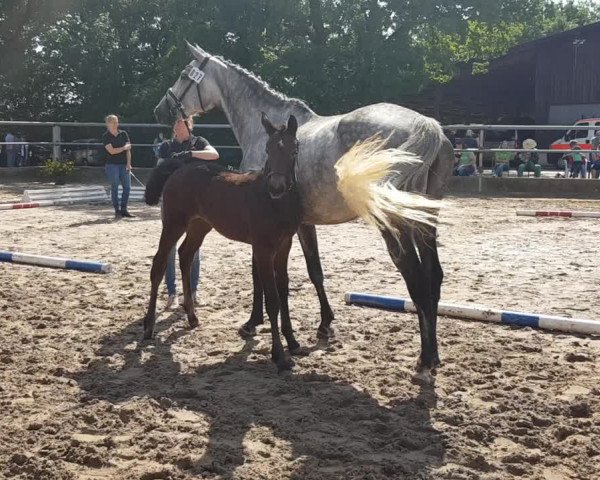 Video of Valentina
