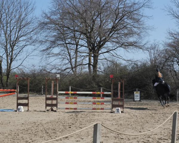 Reitturnier Scharnebeck 2021