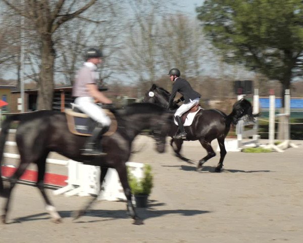 Reitturnier Scharnebeck 2021