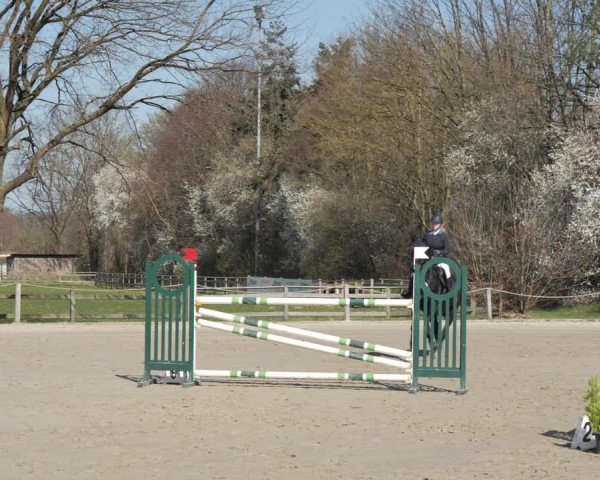 Reitturnier Scharnebeck 2021