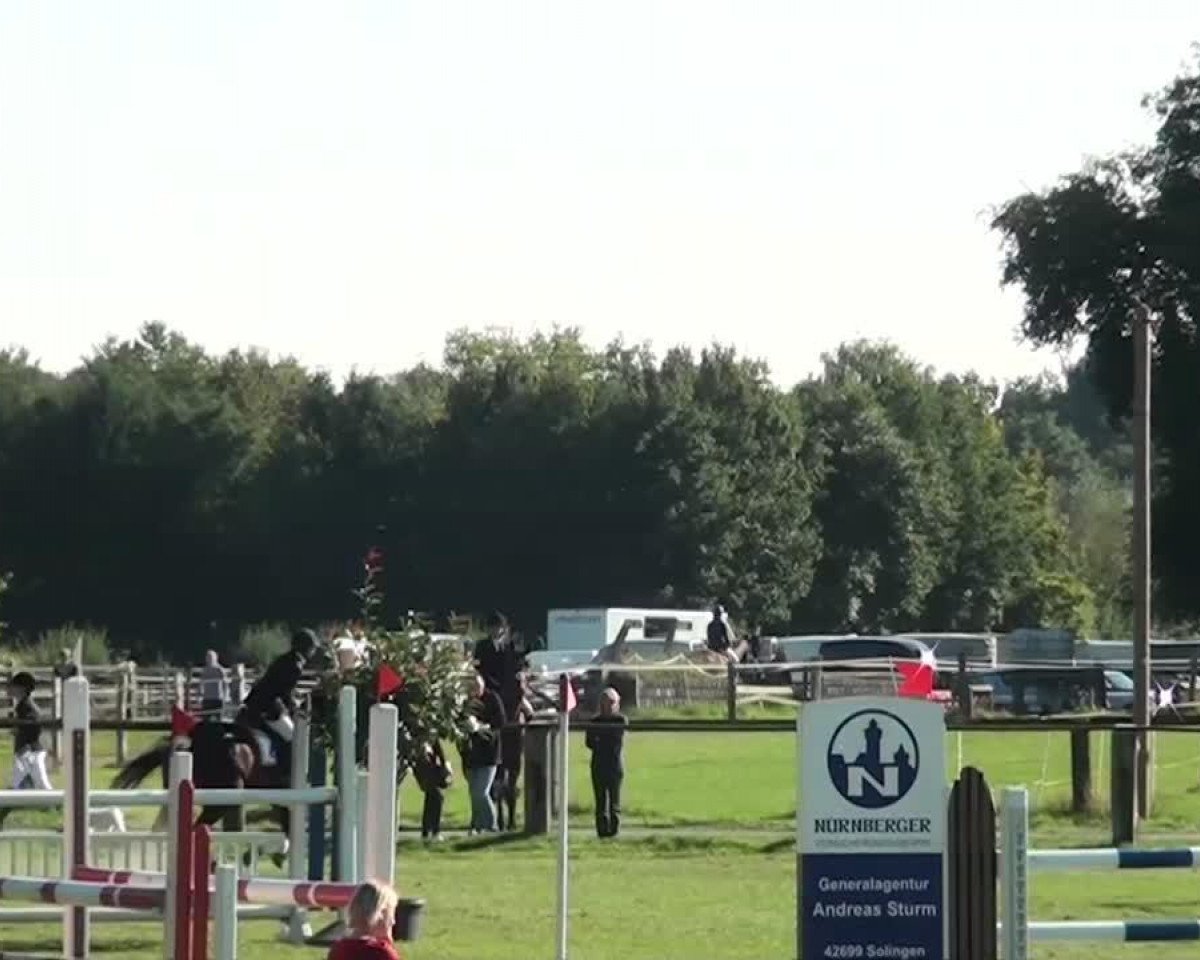 Springpferd Carlimero (Hannoveraner, 1994, von Cavalier)