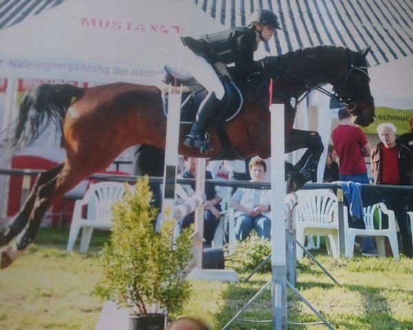 jumper Smeagle (KWPN (Royal Dutch Sporthorse), 1999, from Catano)