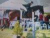 jumper Smeagle (KWPN (Royal Dutch Sporthorse), 1999, from Catano)