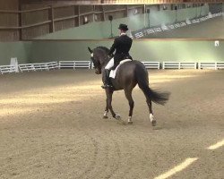 dressage horse Wömi (Hanoverian, 1999, from Wolkenstein II)